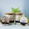Lavender & Mango Candle Collection