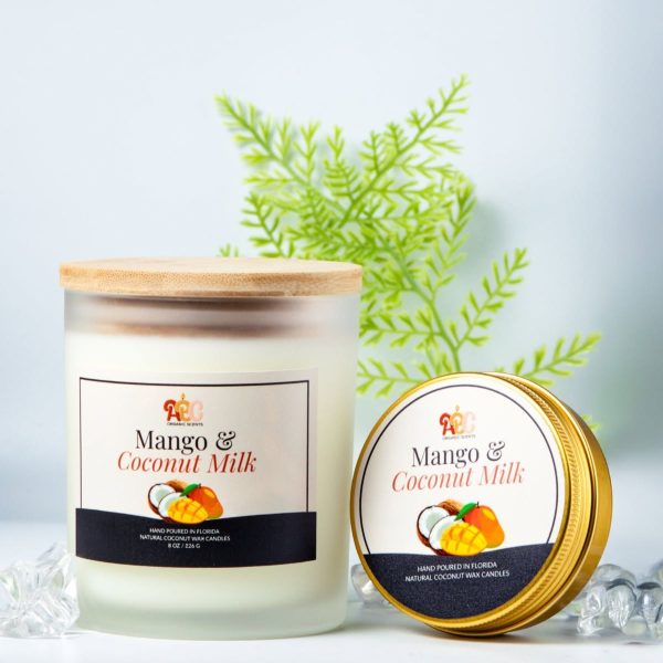 Mango & Coconut Milk Candle Duo